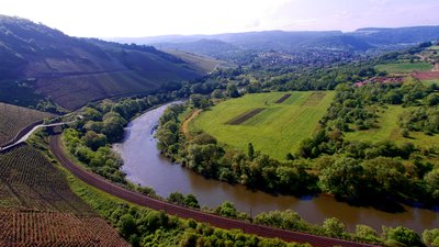 (NSG:RP-7235-051)_Wiltinger Saarbogen
Blick von der Wiltinger Kupp in Richtung Wiltingen