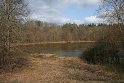 Windsborner Bergkratersee in der Vulkaneifel