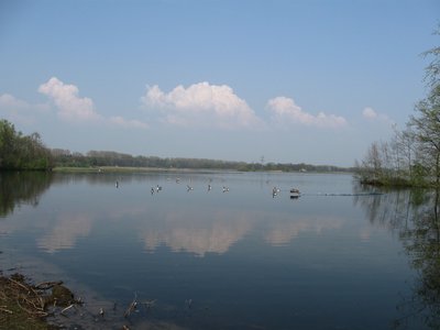 Nature reserve Zachariassee , Germany Nordrhein-Westfalen Lippstadt