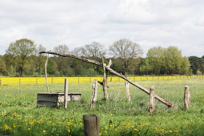 Ziehbrunnen im NSG Dingdener Heide, zu sehen von der Straße „Zum Venn“, Hamminkeln