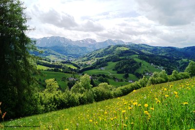 Ins Aurachtal gschaut