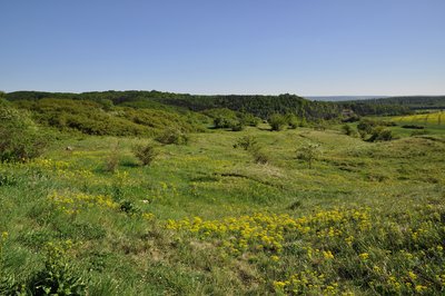 Naturschutzgebiet "Alter Stolberg"
