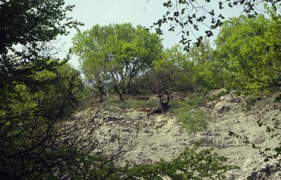 Naturschutzgebiet "Alter Stolberg"