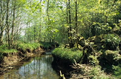 Naturschutzgebiet "Alter Stolberg"