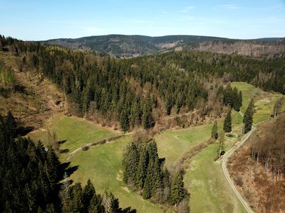 Oberer Röthengrund mit artenreichen, gut gepflegten Berg- und Feuchtwiesen