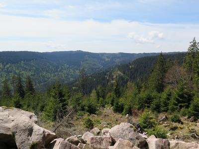 Nationalpark Schwarzwald