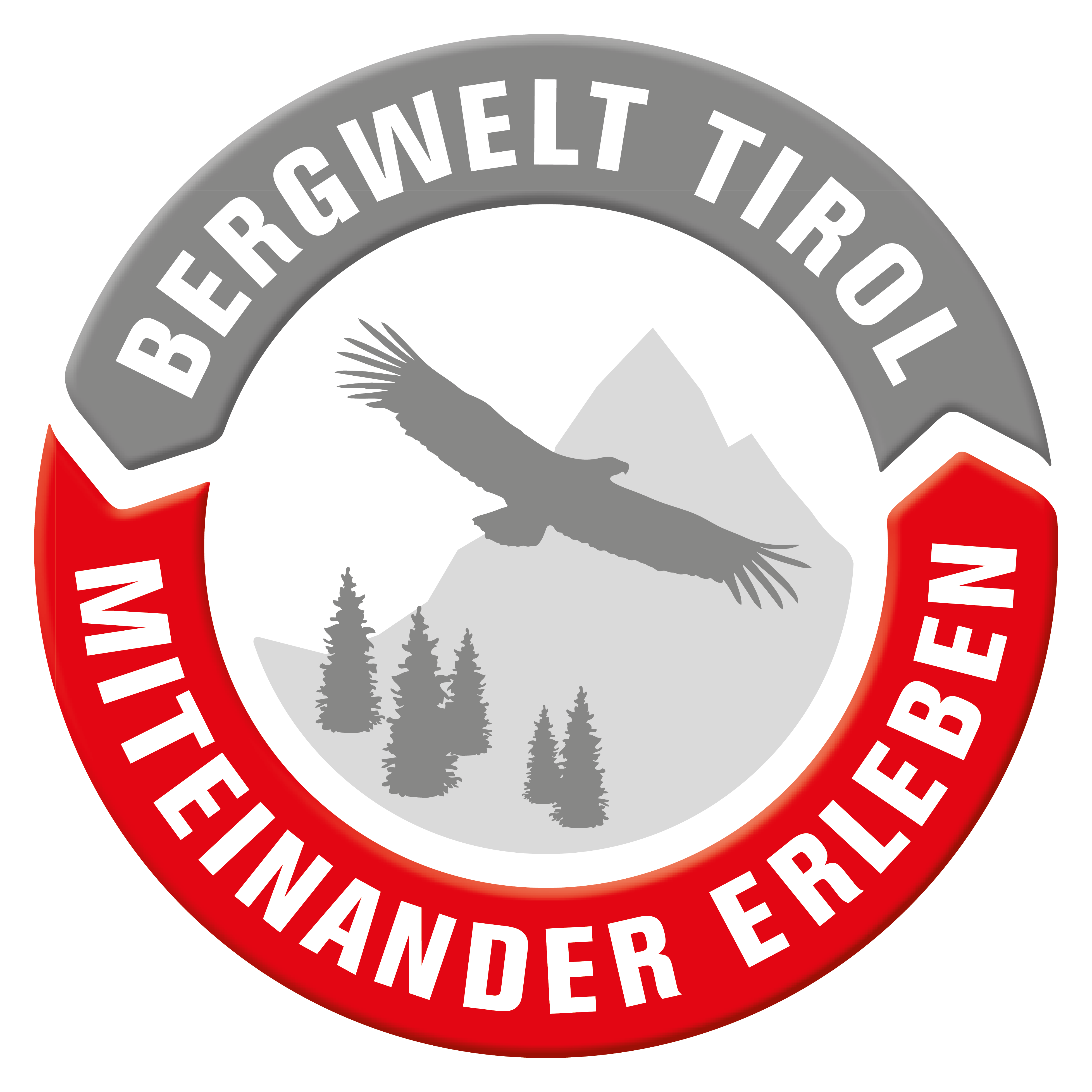 Vit_Glungezer Schartenkogel Osthang